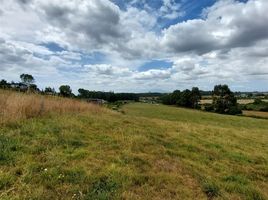  Land for sale in Llanquihue, Los Lagos, Puerto Varas, Llanquihue