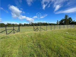  Terreno (Parcela) en venta en Llanquihue, Los Lagos, LLanquihue, Llanquihue