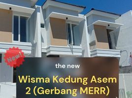 3 Bedroom House for sale in Rungkut, Surabaya, Rungkut