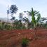  Tanah for sale in Karangpawitan, West Jawa, Karangpawitan