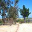  Land for sale in Valparaiso, Algarrobo, San Antonio, Valparaiso