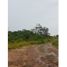  Land for sale in San Juan De Dios, Cocle, San Juan De Dios