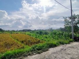  Tanah for sale in Kuta, Badung, Kuta