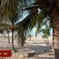  Terreno (Parcela) en venta en Jose Azueta, Guerrero, Jose Azueta