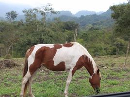  Terrain for sale in Santa Elena, Manglaralto, Santa Elena, Santa Elena