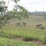  Terrain for sale in Santa Elena, Manglaralto, Santa Elena, Santa Elena