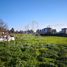  Terreno (Parcela) en venta en Chile, Maule, Talca, Maule, Chile