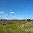 Terreno (Parcela) en venta en Linares, Maule, Longavi, Linares