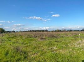  Terreno (Parcela) en venta en Linares, Maule, Longavi, Linares