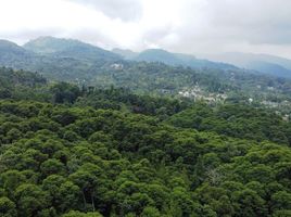  Tanah for sale in Bogor, West Jawa, Bogor Selatan, Bogor