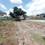  Land for sale in Dramaga, Bogor, Dramaga