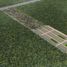  Land for sale in Hunucma, Yucatan, Hunucma