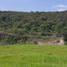  Land for rent in Zapopan, Jalisco, Zapopan