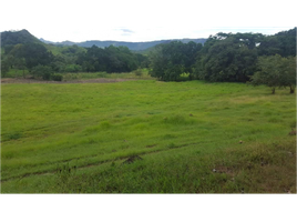  Land for sale in Cocle, El Cano, Nata, Cocle