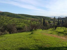  Terreno (Parcela) en venta en Valparaíso, Quilpue, Valparaíso, Valparaíso