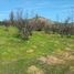  Terreno (Parcela) en venta en Valparaíso, Quilpue, Valparaíso, Valparaíso