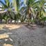  Land for sale in Petatlan, Guerrero, Petatlan