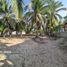 Land for sale in Petatlan, Guerrero, Petatlan