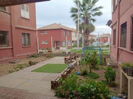 2 Bedroom Apartment for sale in Ter. Buses La Serena, La Serena, Coquimbo