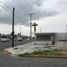  Land for rent in Monterrey, Nuevo Leon, Monterrey, Nuevo Leon