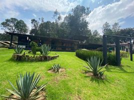 3 Schlafzimmer Haus zu verkaufen in Valle De Bravo, Mexico, Valle De Bravo