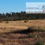  Terreno (Parcela) en venta en Chile, Pumanque, Colchagua, Libertador General Bernardo O'Higgins, Chile