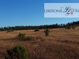  Terreno (Parcela) en venta en Chile, Pumanque, Colchagua, Libertador General Bernardo O'Higgins, Chile