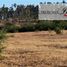  Terreno (Parcela) en venta en Chile, Pumanque, Colchagua, Libertador General Bernardo O'Higgins, Chile