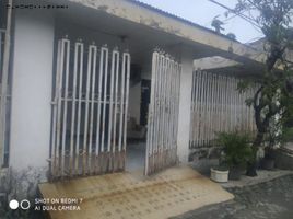 2 Schlafzimmer Haus zu verkaufen in Tambaksari, East Jawa, Tambaksari