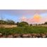  Land for sale in Merida, Yucatan, Merida, Yucatan