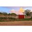  Land for sale in Merida, Yucatan, Merida, Yucatan
