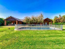 5 Habitación Casa en venta en Colina, Chacabuco, Colina