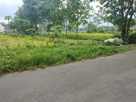  Terreno (Parcela) en venta en Ngaglik, Yogyakarta, Ngaglik