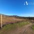  Land for sale in San Pedro, Santiago, San Pedro