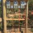  Land for sale in Chile, San Pedro, Melipilla, Santiago, Chile