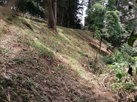  Land for sale in Medellin, Antioquia, Medellin, Antioquia