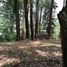  Land for sale in Medellin, Antioquia, Medellin, Antioquia