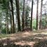 Land for sale in Medellin, Antioquia, Medellin, Antioquia