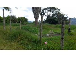 4 Habitación Casa en venta en Salento, Quindio, Salento