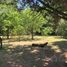  Grundstück zu verkaufen in Moreno, Buenos Aires, Moreno
