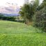  Land for sale in Dosquebradas, Risaralda, Dosquebradas