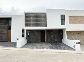 Maison 3 chambre à vendre à Morelia, Michoacan, Morelia