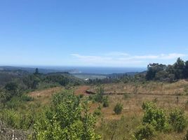  Terreno (Parcela) en venta en Cardenal Caro, Libertador General Bernardo O'Higgins, Litueche, Cardenal Caro