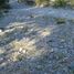  Land for sale in Guadalupe Victoria, Puebla, Guadalupe Victoria