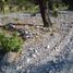  Land for sale in Guadalupe Victoria, Puebla, Guadalupe Victoria