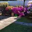 4 Habitación Casa en venta en Osorno, Osorno, Osorno