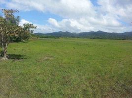  Grundstück zu verkaufen in San Vicente, Mimaropa, San Vicente
