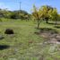  Terrain for sale in Celestun, Yucatan, Celestun