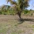  Terrain for sale in Celestun, Yucatan, Celestun