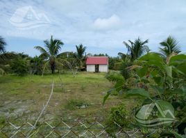  Terrain for sale in Celestun, Yucatan, Celestun